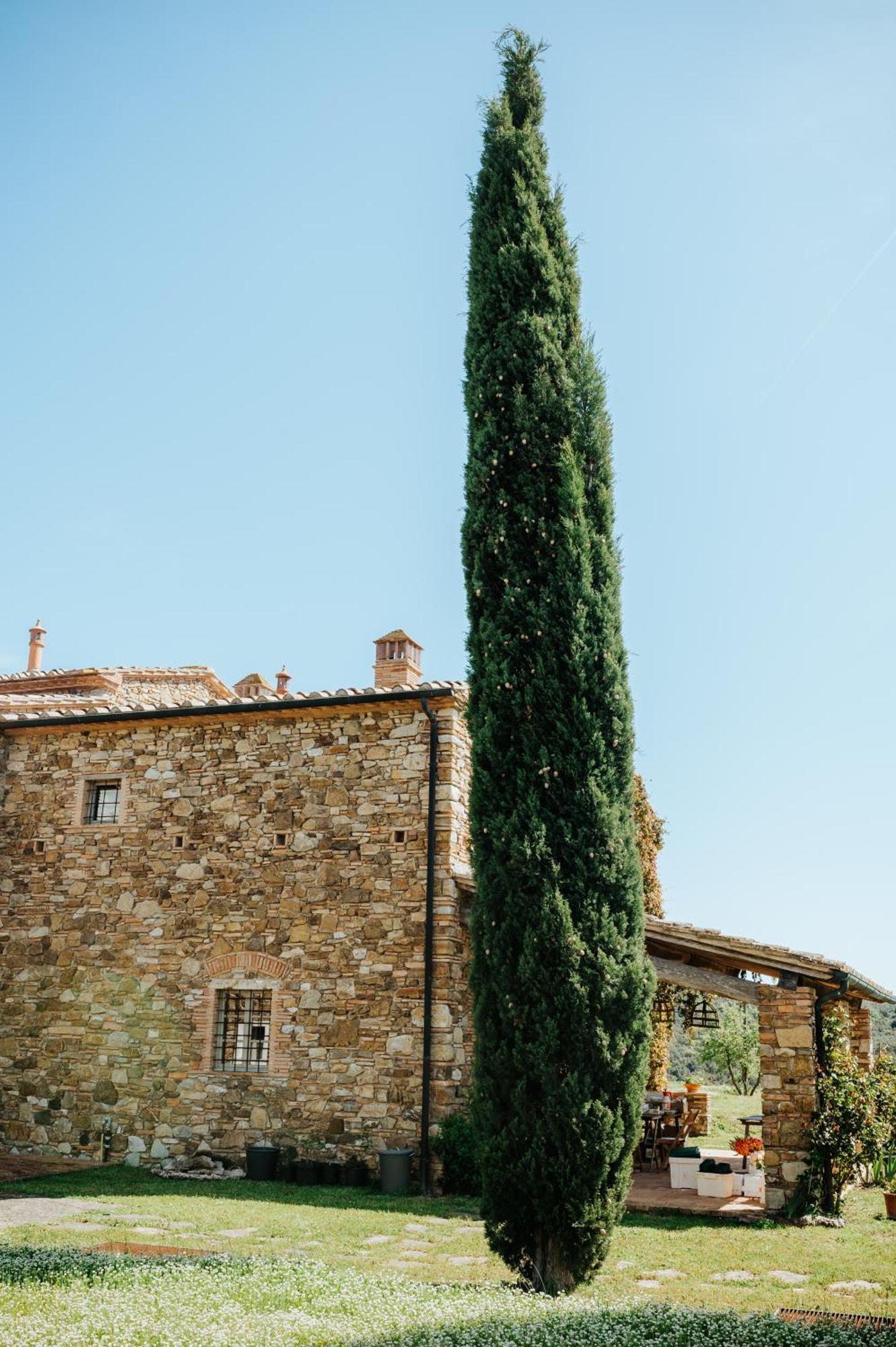 马萨马里蒂马Borgo Le Moraiole别墅 外观 照片