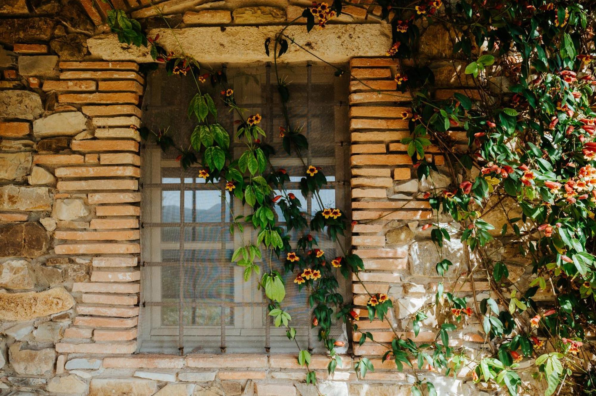 马萨马里蒂马Borgo Le Moraiole别墅 外观 照片