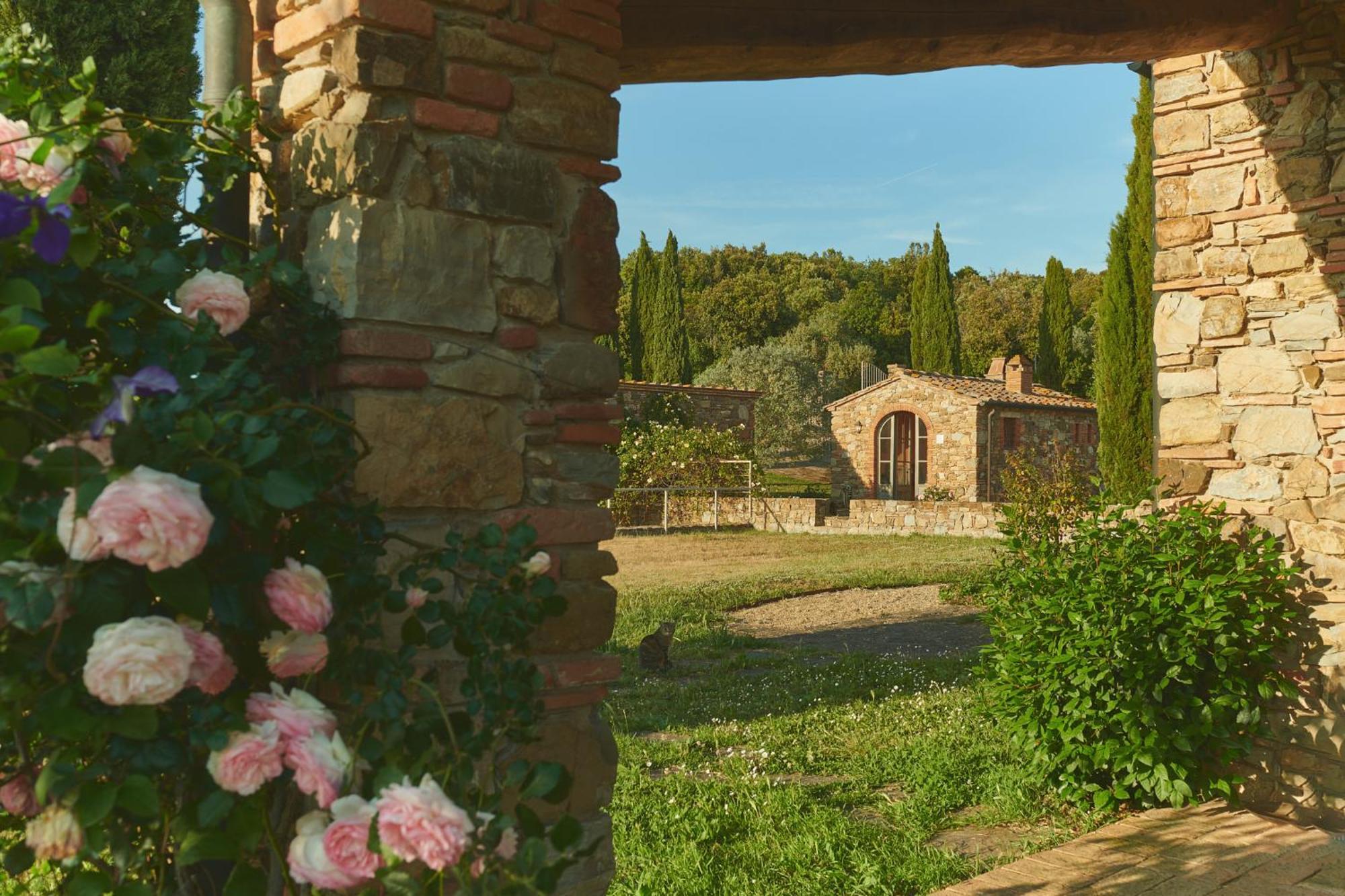 马萨马里蒂马Borgo Le Moraiole别墅 外观 照片