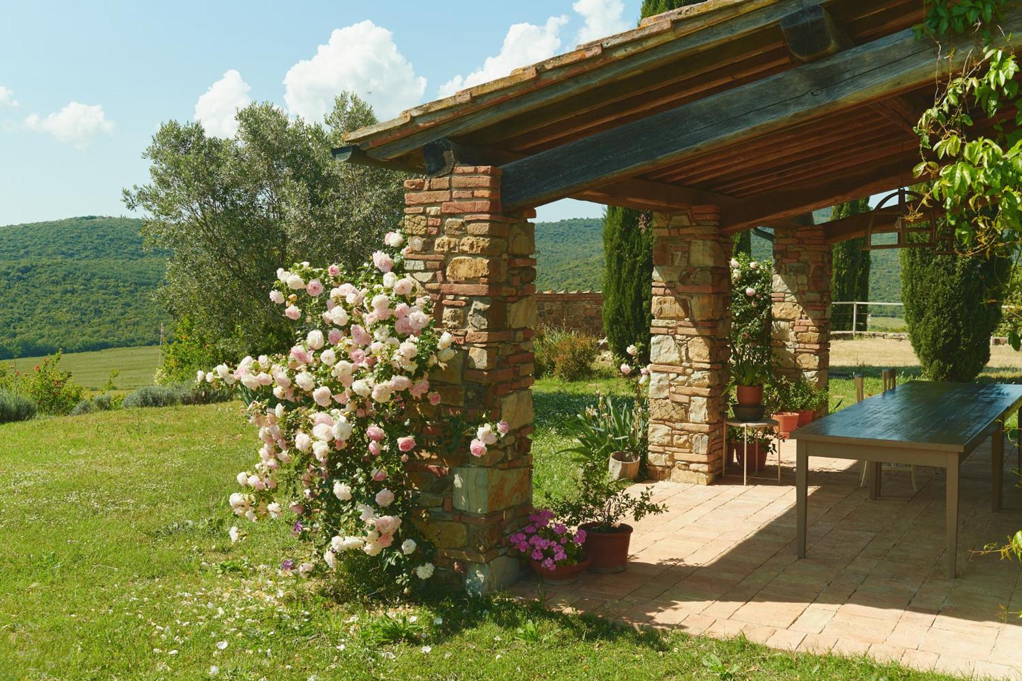马萨马里蒂马Borgo Le Moraiole别墅 外观 照片